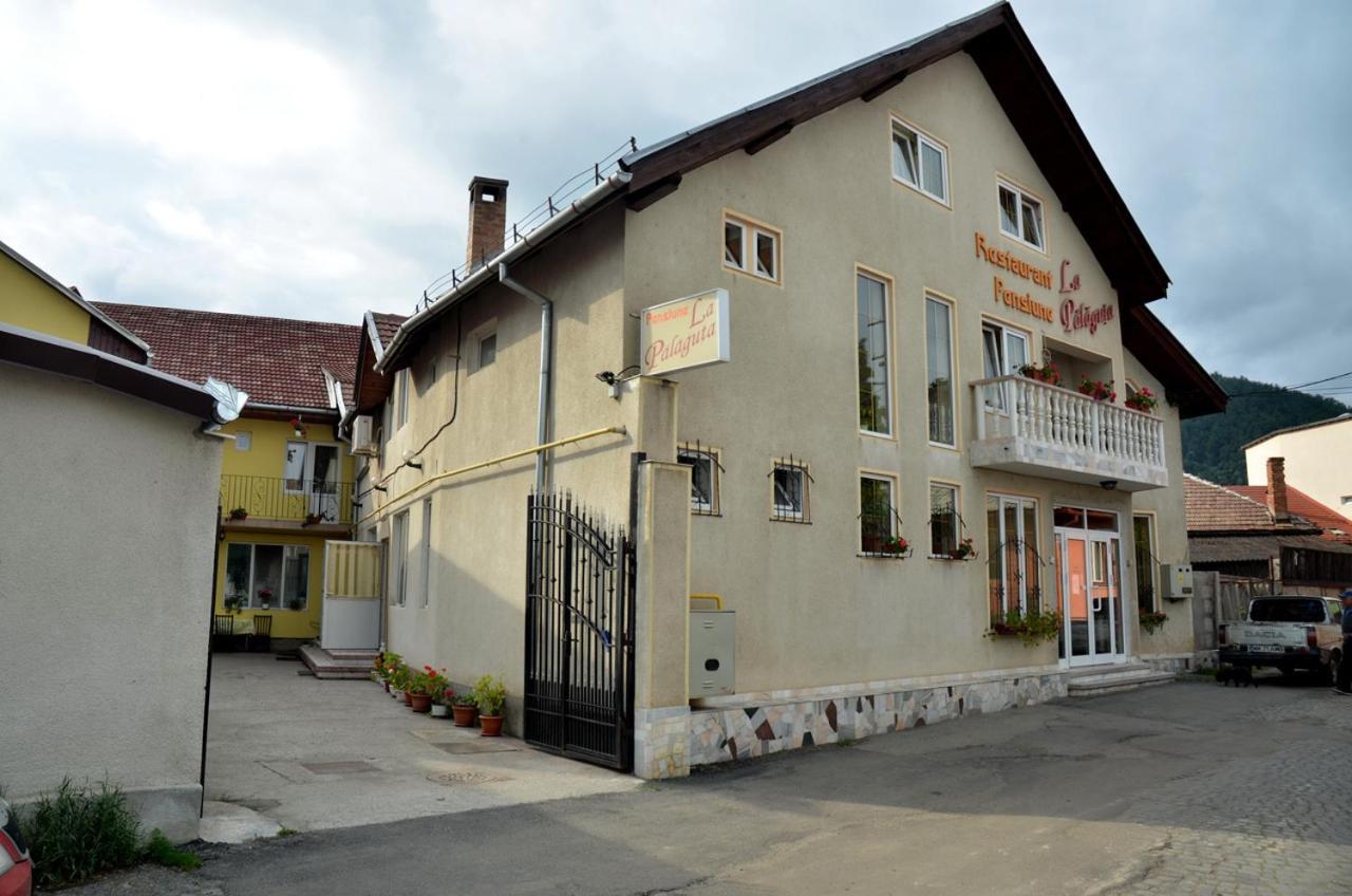 Pensiunea La Palaguta Бая-Маре Экстерьер фото